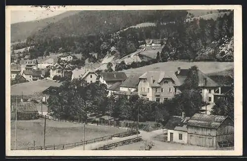 AK Steinhaus am Semmering, Teilansicht aus der Vogelschau