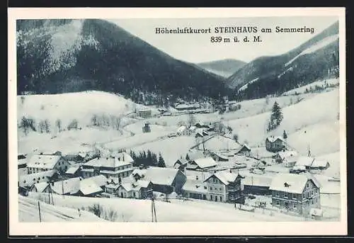 AK Steinhaus am Semmering, Totale im Winterglanz