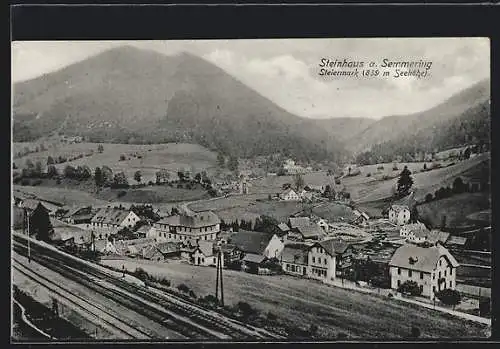 AK Steinhaus a. Semmering, Teilansicht mit Bergen