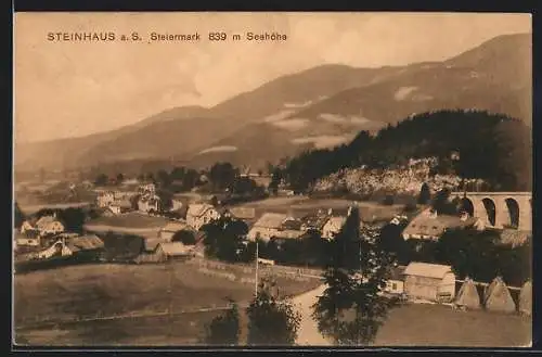 AK Steinhaus a. S., Ortsansicht mit dem Viadukt