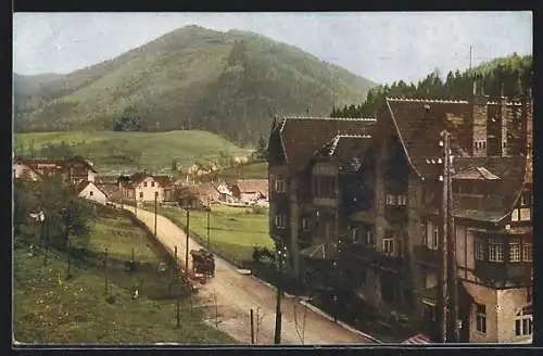 AK Steinhaus am Semmering, Strassenpartie mit Gebäudeansicht