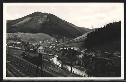 AK Steinhaus am Semmering, Leere Güterwaggons auf dem Abstellgleis