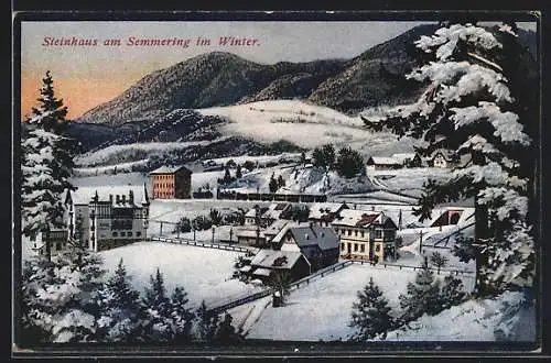 AK Steinhaus am Semmering, Ortsansicht im Winter mit einer Eisenbahn