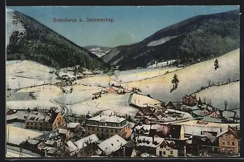 AK Steinhaus /Semmering, Ortsansicht im Winter