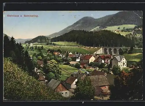 AK Steinhaus a. Semmering, Teilansicht