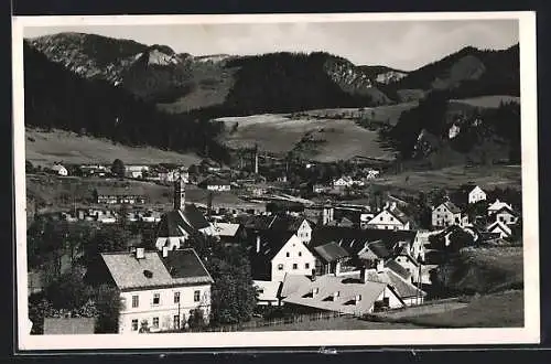 AK Neuberg a. d. Mürz, Ortsansicht von Oben