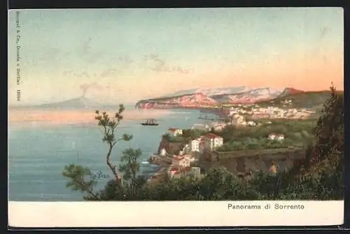 AK Sorrento, Panorama
