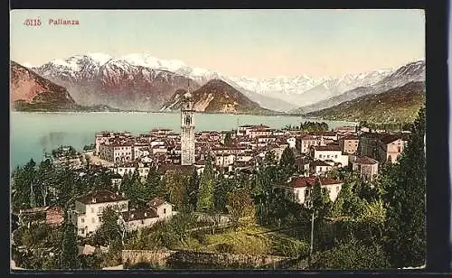 AK Pallanza, Panorama