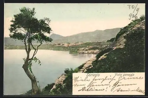 AK Sorrento, Vista generale