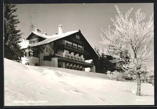 AK Mariazell, Hotel Alpenhof im Winter