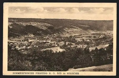 AK Piesting /N. Ö., Ortsansicht mit Umgebung