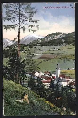 AK Wald /Obersteiermark, Ortsansicht mit Kirche