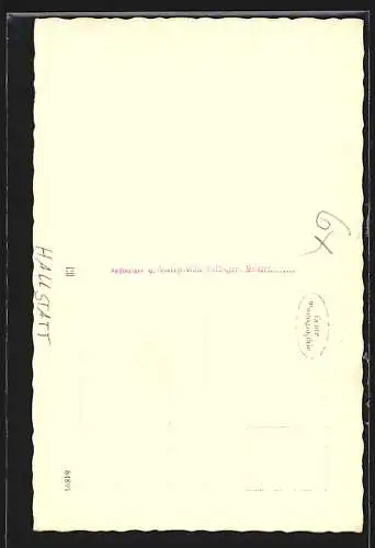 AK Hallstatt, Partie am Wasser