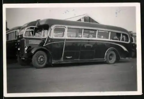 Fotografie Bus Leyland Lion, Omnibus - Reisebus