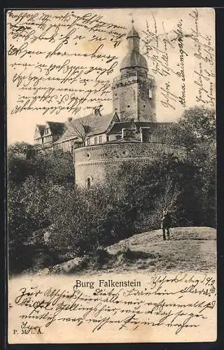 AK Burg Falkenstein /Selkethal, Ansicht der Burg