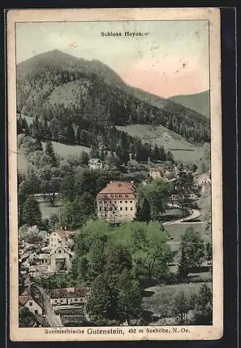 AK Gutenstein, Schloss Hoyos aus der Vogelschau