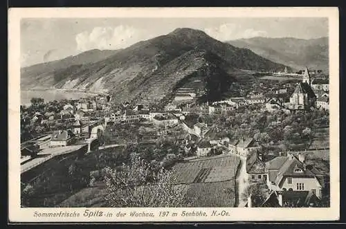 AK Spitz /Wachau, Ortsansicht mit Bergblick aus der Vogelschau