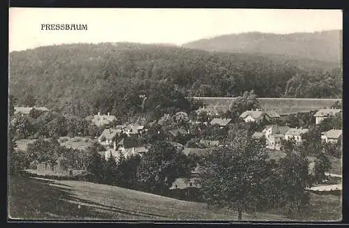AK Pressbaum, Teilansicht mit Umgebung aus der Vogelschau