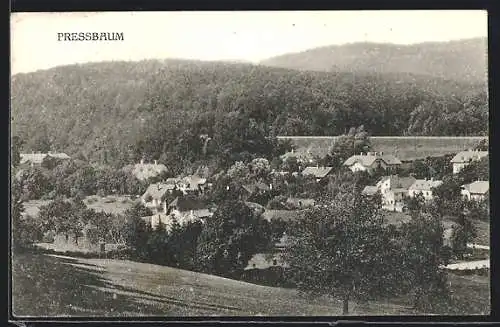 AK Pressbaum, Teilansicht mit Umgebung aus der Vogelschau