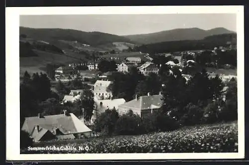 AK Gablitz /N.-Ö., Ortsansicht mit Bergpanorama, von einer Wiese gesehen