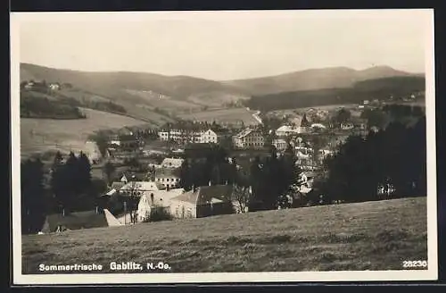 AK Gablitz /N.-Oe., Teilansicht mit Blick in die Berge