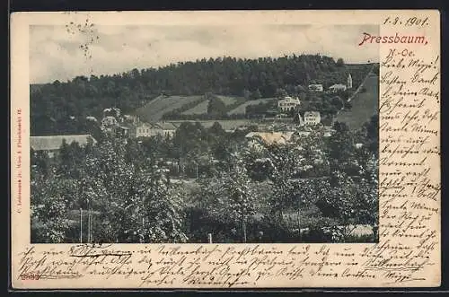 AK Pressbaum /N.-Oe., Teilansicht von oben
