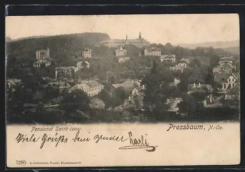 AK Pressbaum /N.-Oe., Teilansicht mit Pensionat Sacre Coeur