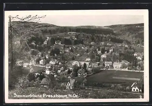AK Pressbaum, Ortsansicht mit freistehenden Häusern und Villen
