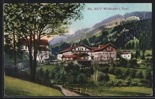 AK Wildbichl, Panoramablick auf das Dorf