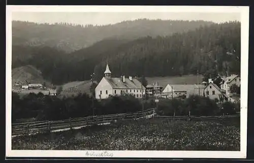 AK Frein bei Mürzsteg, Ortsansicht vom Feld aus