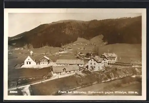 AK Frein bei Mürzsteg, Ortsansicht gegen die Wildalpe