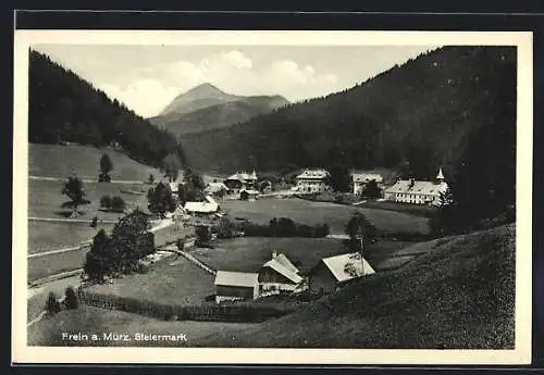 AK Frein a. Mürz, Ortsansicht aus der Vogelschau