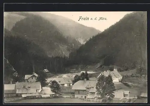 AK Neuberg an der Mürz, Frein, Ortsansicht im Bergidylll