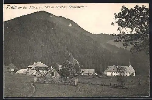 AK Frein an der Mürz, Ortsansicht mit Hühnerstall