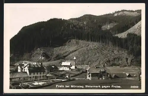 AK Frein bei Mürzsteg, Ortsansicht gegen Proles