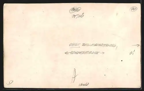 AK Frein a. d. Mürz, Ortspartie aus der Vogelschau