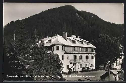 AK Frein a. d. Mürz, Hotel-Pension Aumann mit Gästen