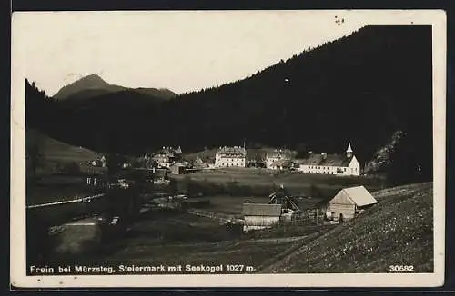 AK Frein bei Mürzsteg, Ortsansicht mit Seekogel