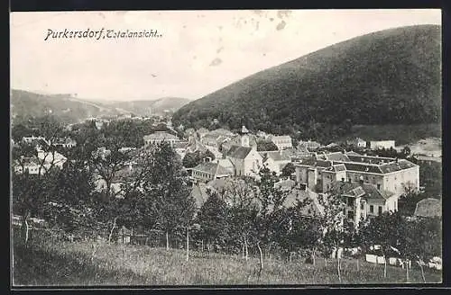 AK Purkersdorf, Totalansicht