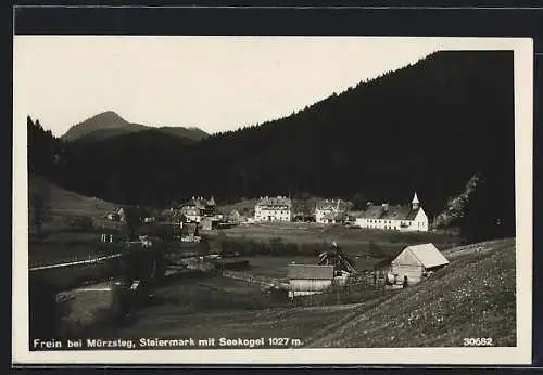 AK Frein bei Mürzsteg, Ortsansicht mit Seekogel