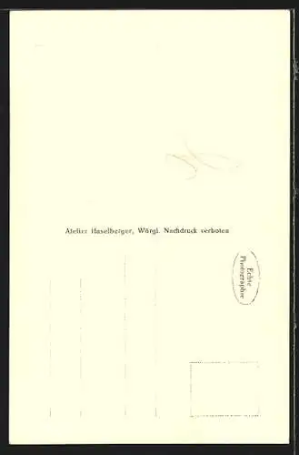 AK Wildschönau, Niederau b. Wörgl, Ortsansicht aus der Vogelschau