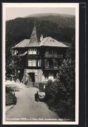 AK Frein a. d. Mürz, Fremdenheim Haus-Mayer mit bewaldetem Hügel