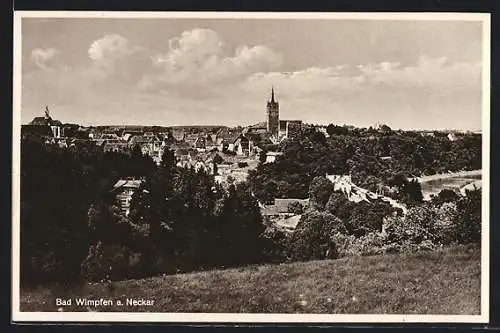 AK Bad Wimpfen, Teilansicht mit Kirche