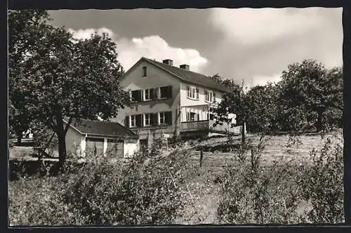 AK Wasserburg /Bodensee, Gasthaus Adolf Weiss