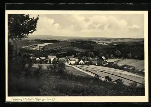 AK Treisberg /Taunus, Ortsansicht mit Blick ins Land