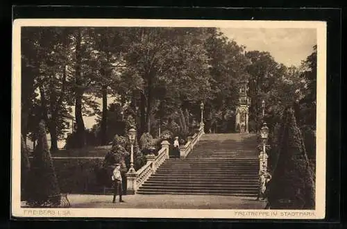 AK Freiberg / Sa., Freitreppe im Stadtpark