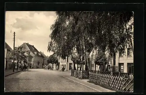 AK Bad Sülze / Meckl., Strasse am Willi-Braun-Platz