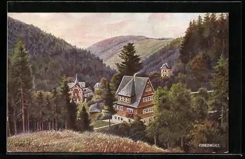 Künstler-AK Schwarzburg / Thür. Wald, Blick vom Berg auf die Finkenmühle