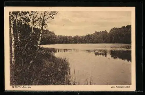 AK Waren (Müritz), Birken am Wienpietschsee