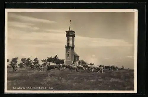 AK Oberweissbach, Fröbelturm mit Kuhherde